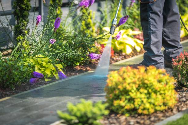Campton Hills, IL Pressure Washing Services Company