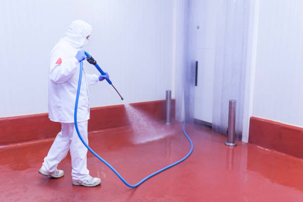 Best Rust and Stain Removal in Campton Hls, IL